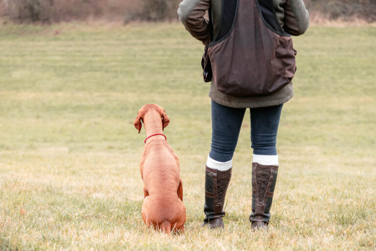 Dummytraining mit Sandra, Umberto und Luna