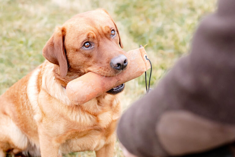 Dummytraining mit Anne, Emil und Ben